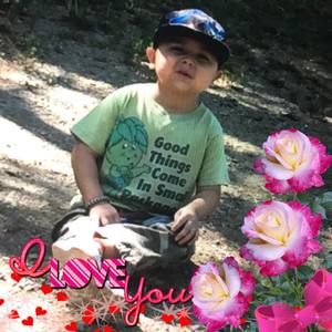 Meet your Posher, Tara